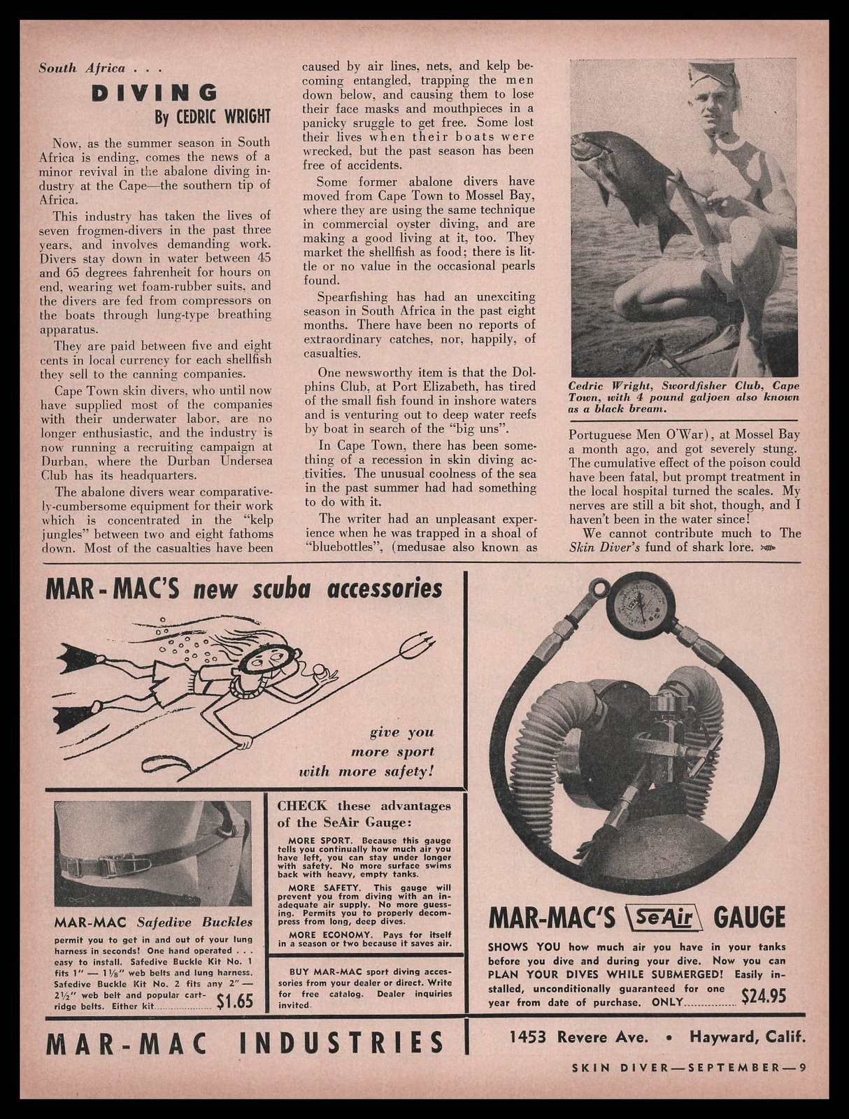 1956 South Africa Cape Town Photo Cedric Wright Swordfisher Diving Club Print Ad