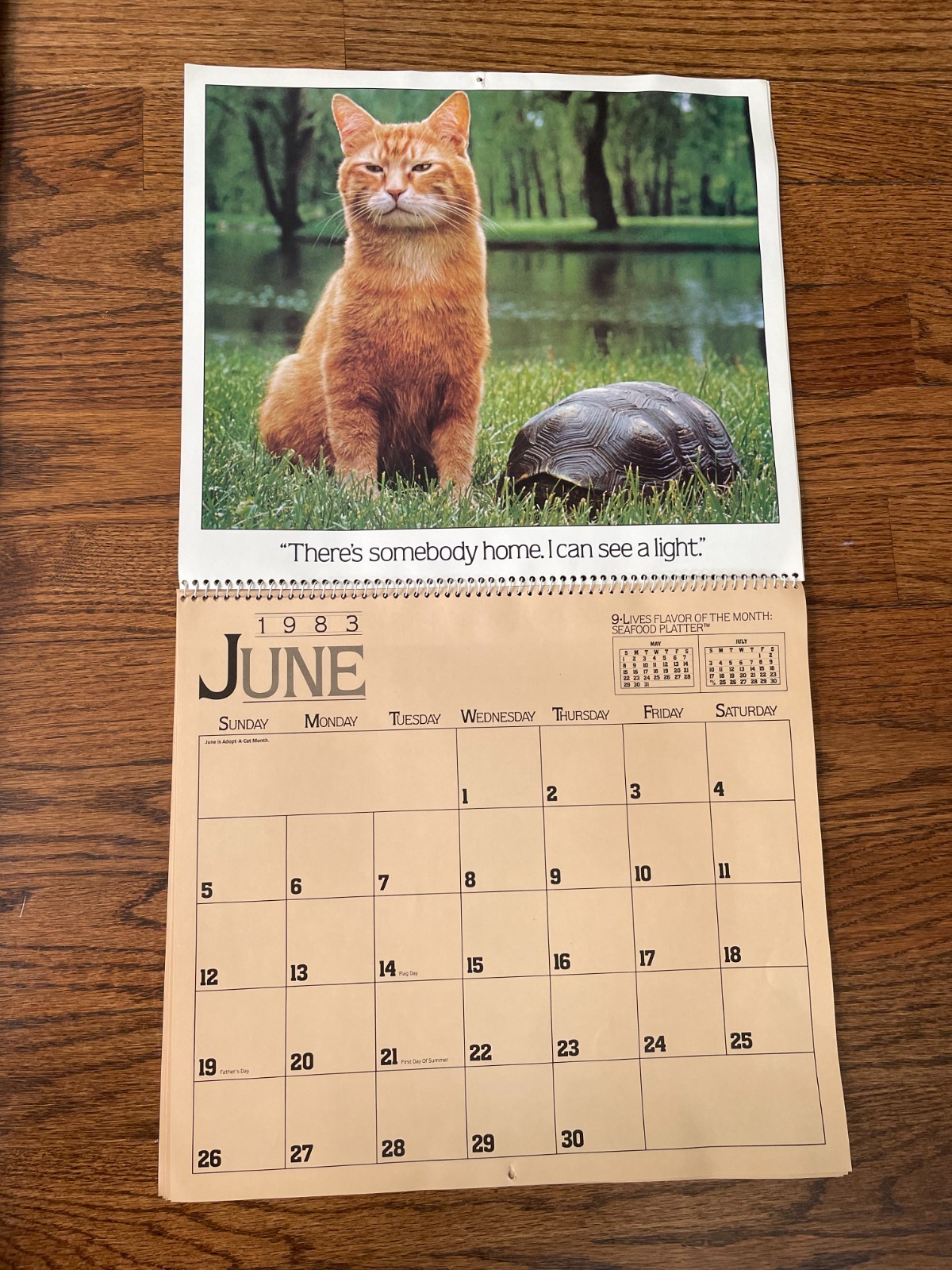 VINTAGE! Morris the Cat 1983 Calendar A View from the Top 9 lives USA unused