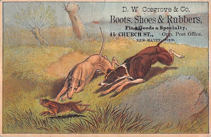 NEW HAVEN, CT ~ D. W. Cosgrove & Co., Footwear ~ ADV. TRADE CARD 1880s