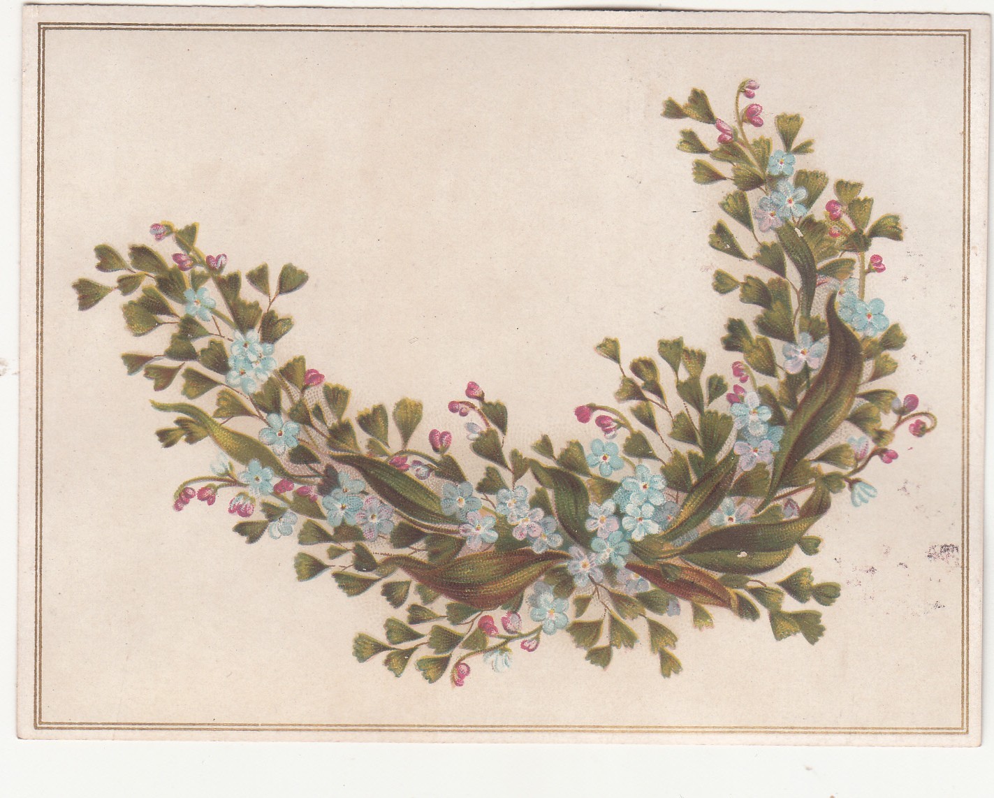 Bough of Blue & Pink Flowers No Advertising Vict Card c1880s