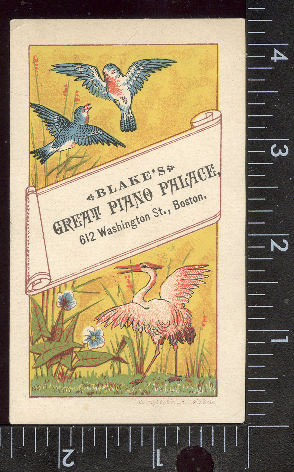 BOSTON TRADE CARD, BLAKE’S PIANO PALACE, 612 WASH St, BIRDS & PINK FLAMINGO F63