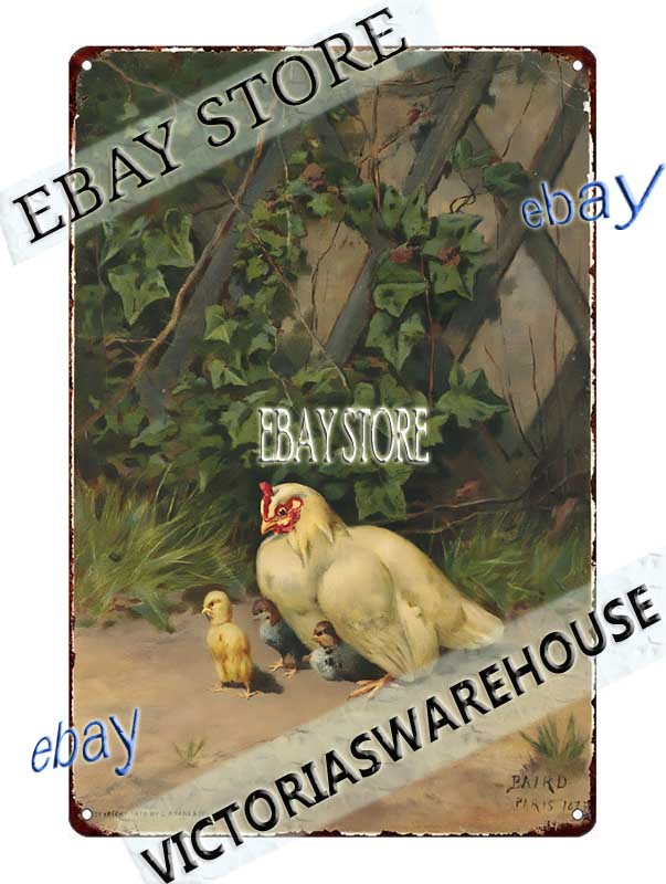 1860s Hen with Three Chicks Farm Animal Art Louis Prang Tin Sign bedroom room