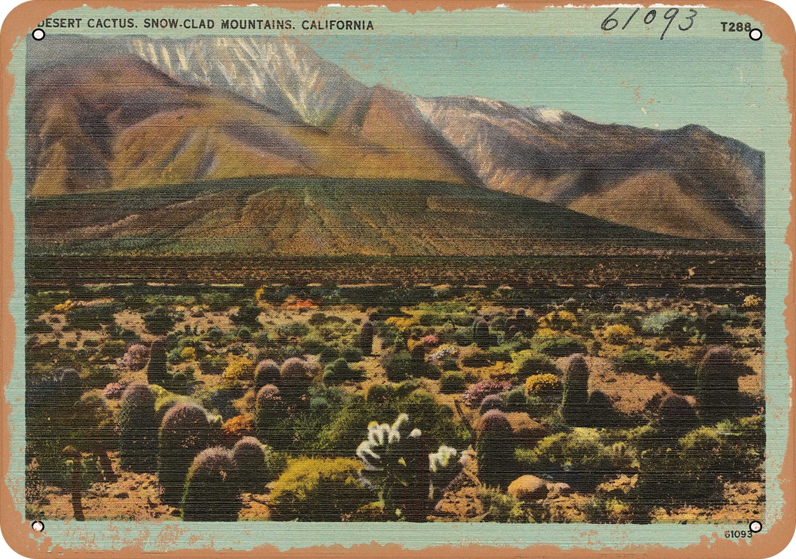 Metal Sign – California Postcard – Desert cactus, snow-clad mountains, Californ