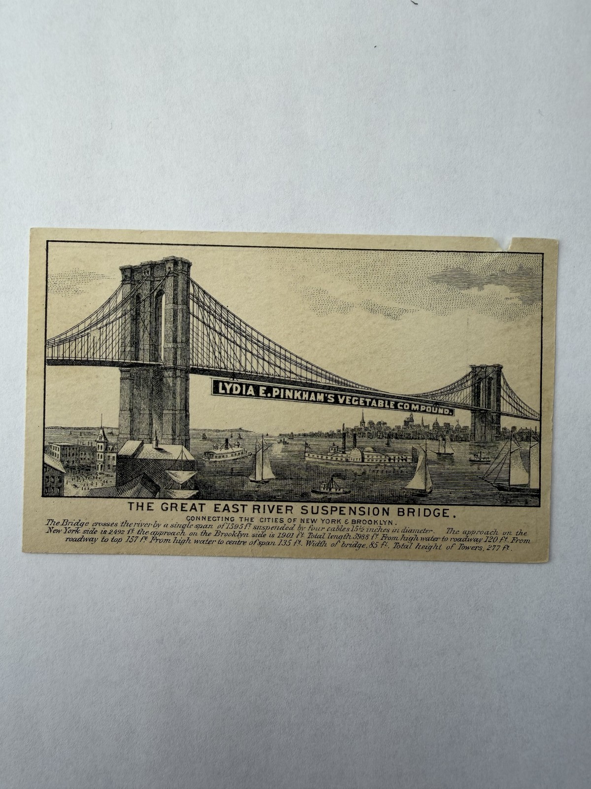 Rhodes & Co San Jose California Lydia E Pinkham Trade Card Brooklyn Bridge NY