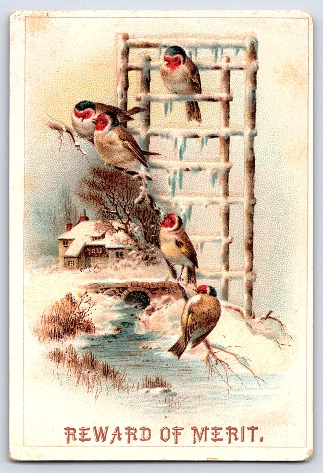 1900s Reward of Merit – Birds in Winter Scene antique 3×4 inches