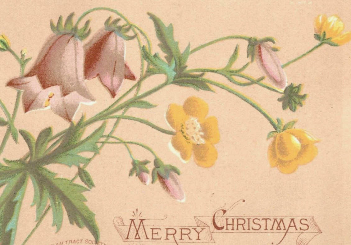 1878 Victorian Pastel Christmas Trade Cards Flowers Lot Of 5 F184