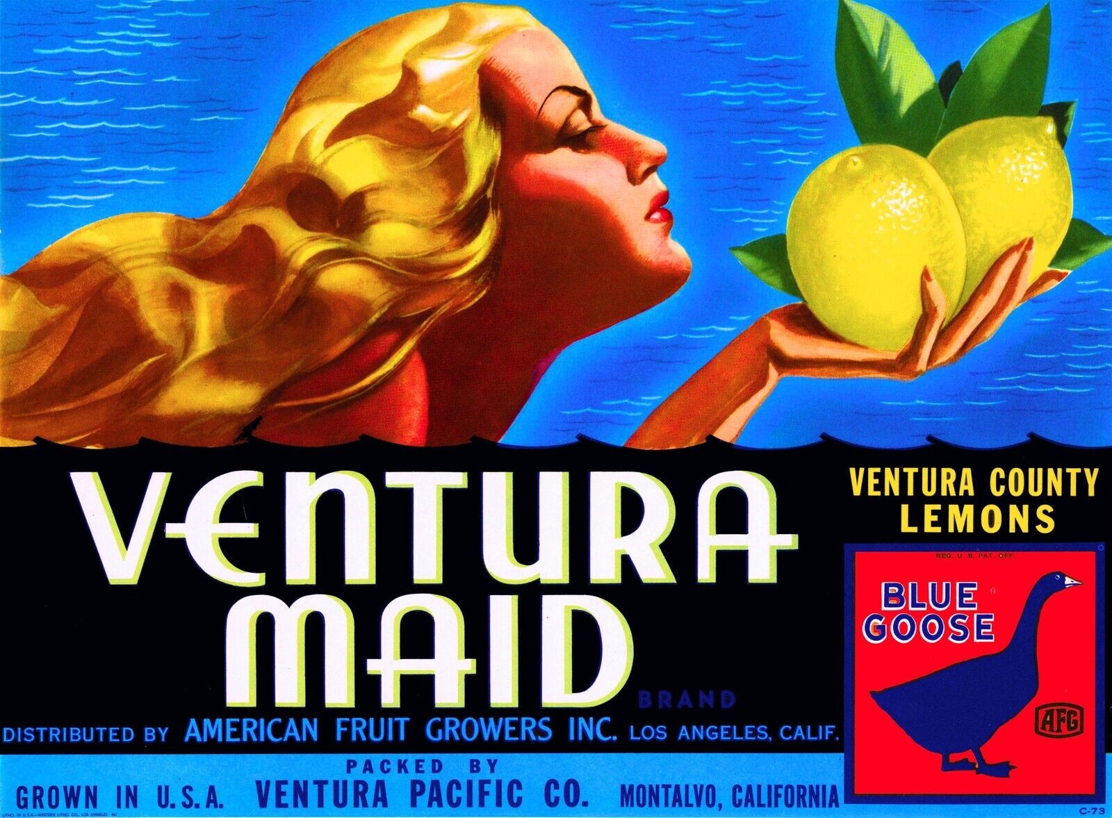 Ventura Maid Brand Lemon Montalvo Santa Barbara Citrus Fruit Crate Label 24×36
