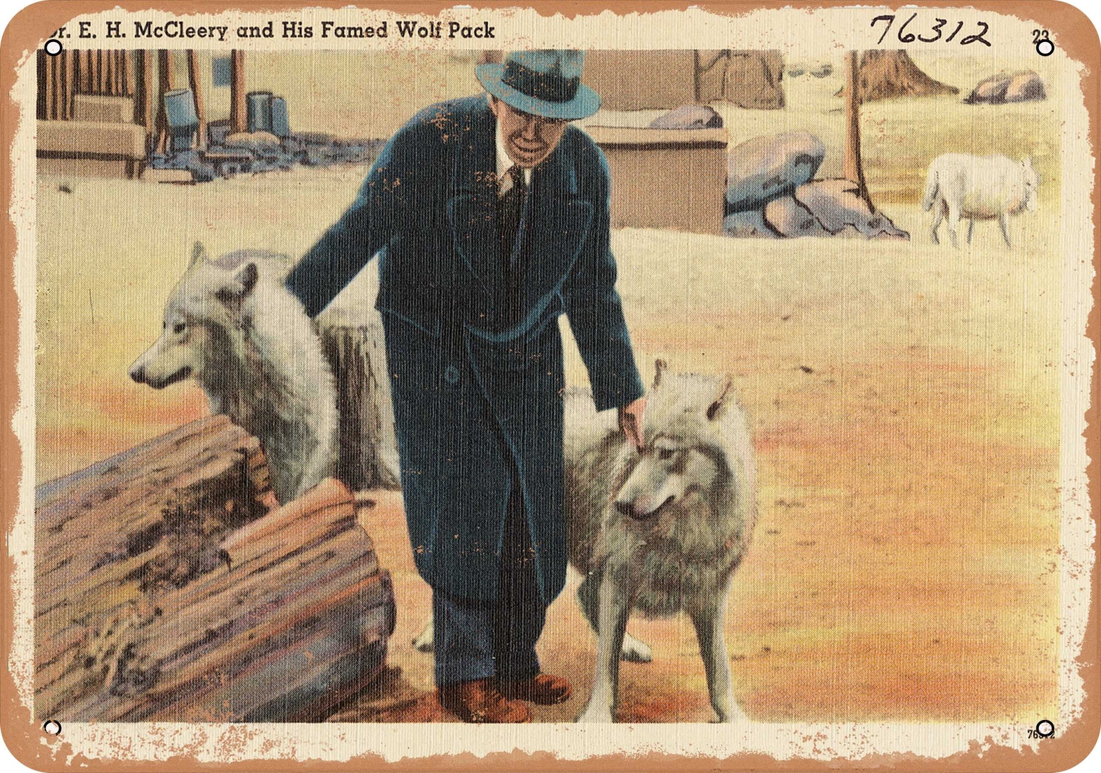 METAL SIGN – Pennsylvania Postcard – Dr. E. H. McCleery and his famed Wolf pack