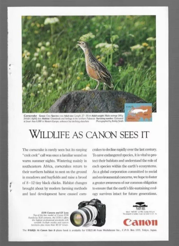 1994 Wildlife As Canon Sees It Corncrake Bird PBS Nature & Canon EOS Camera Ads