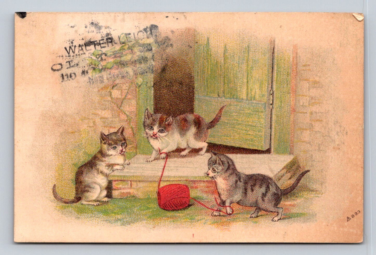 Kittens Cats Play With Yarn P140