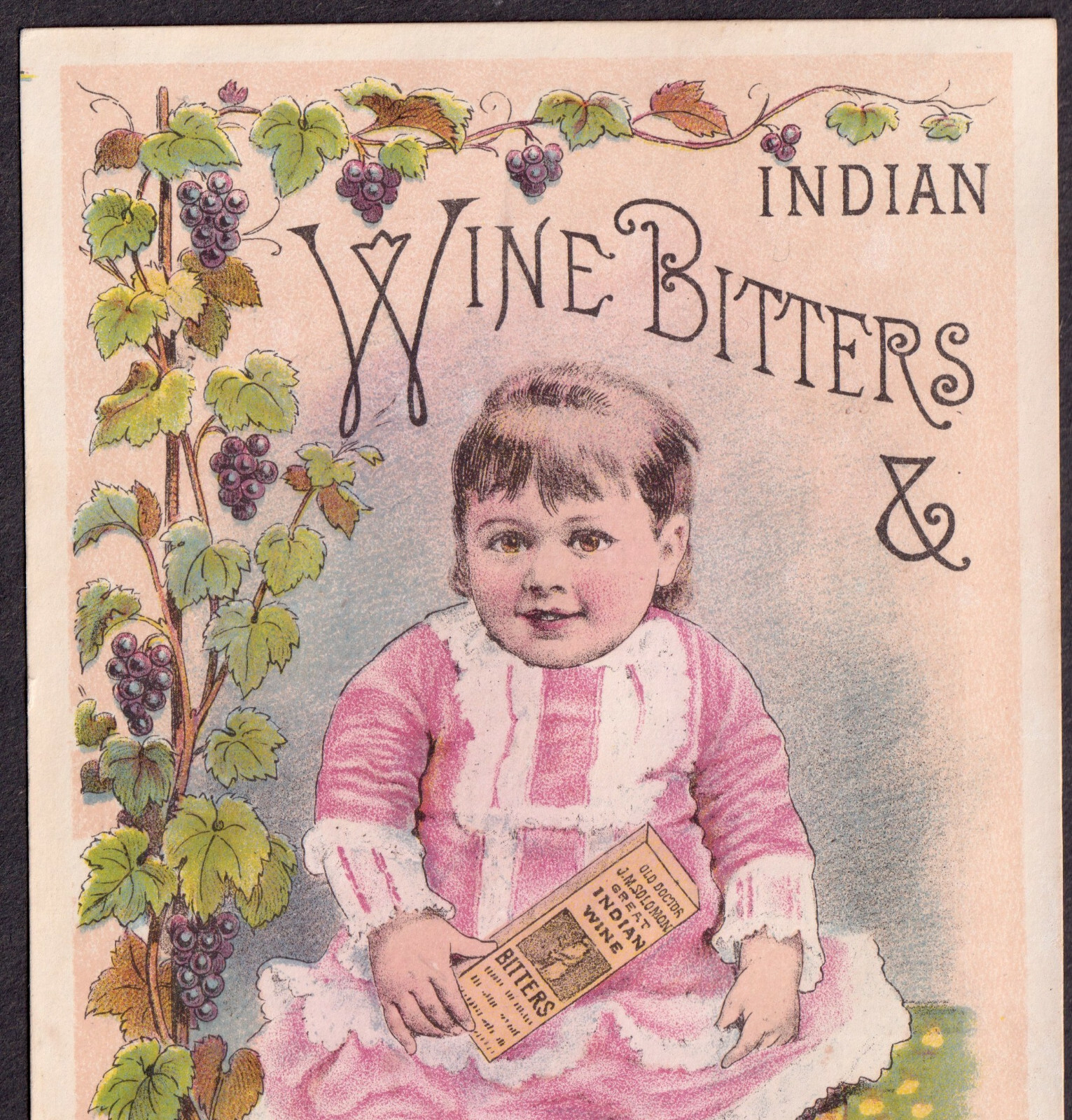 Dr Solomons Indian Wine Bitters Blood Kidney Liver Cure Advertising Trade Card