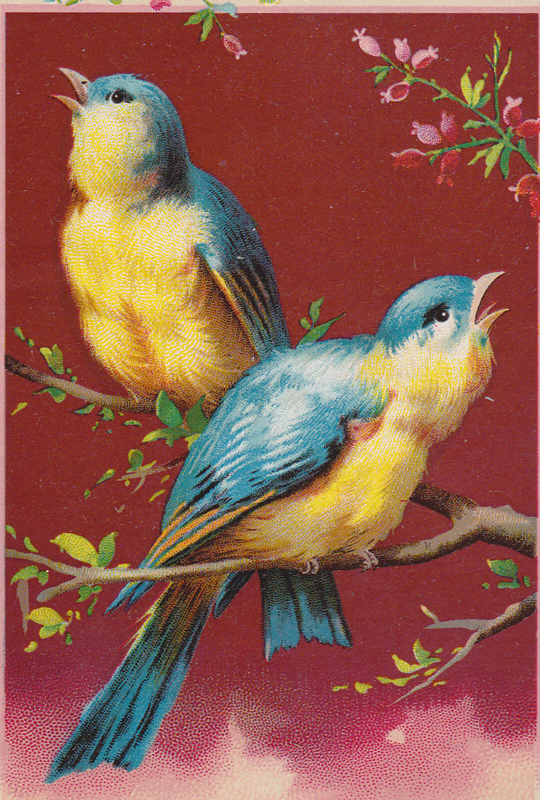 1880’s HORSFORD’S ACID PHOSPHATE TRADE CARD & BOOKMARK, 2 BIRDS DIFFERENT C238