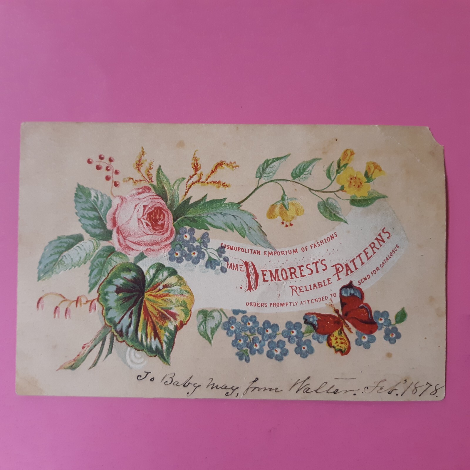 1878 Old Dundee Warehouse Dry Goods Hosiery & Notions South Pearl St Albany N.Y.