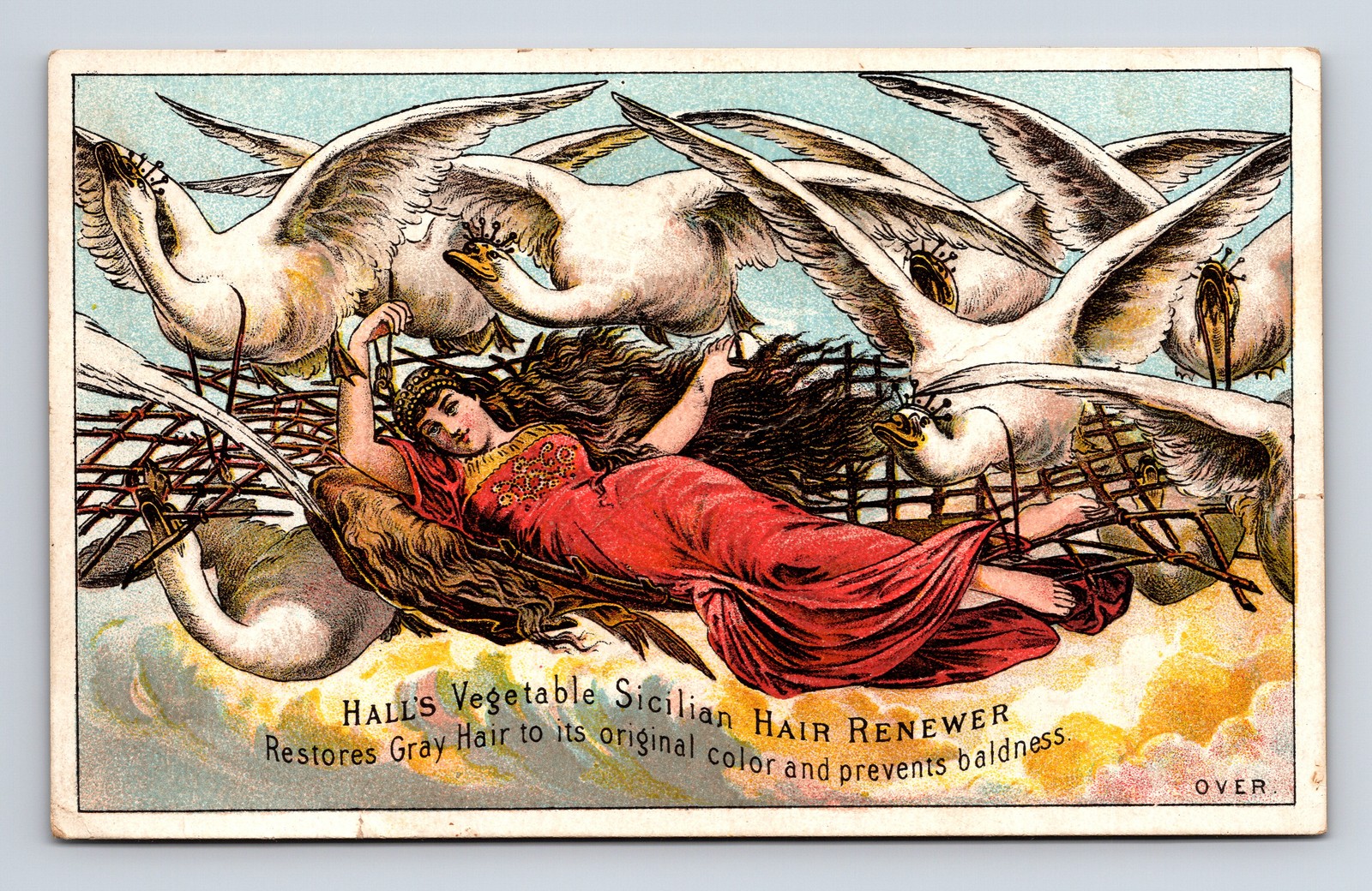 1880s Hall’s Sicilian Hair Renewer Elise & Swans Nashua NH Victorian Trade Card