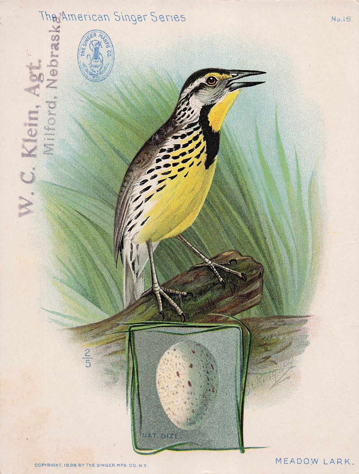 Singer Sewing Machine American Song bird Ornithology Advertising Trade Card