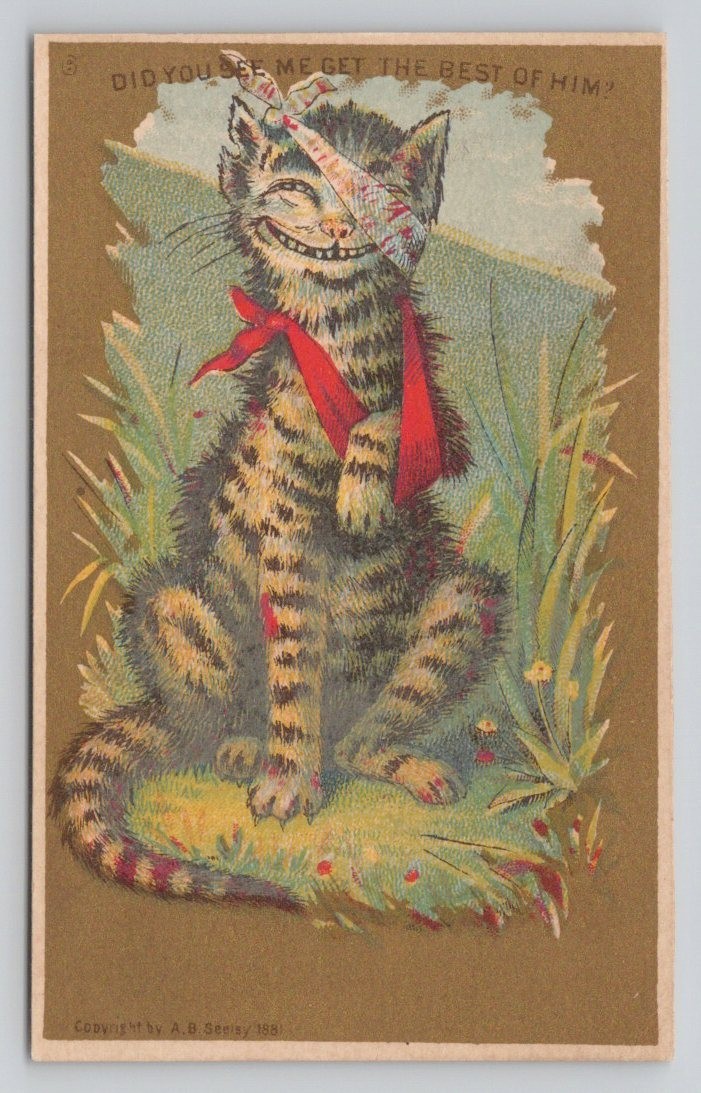 R&J Gilchrist Dry Goods Boston MA 1881 Trade Card Cat Fight Bandaged Cat