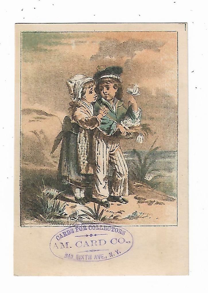 Old Trade Card AM CARD CO New York Cards For Collectors Couple Beach