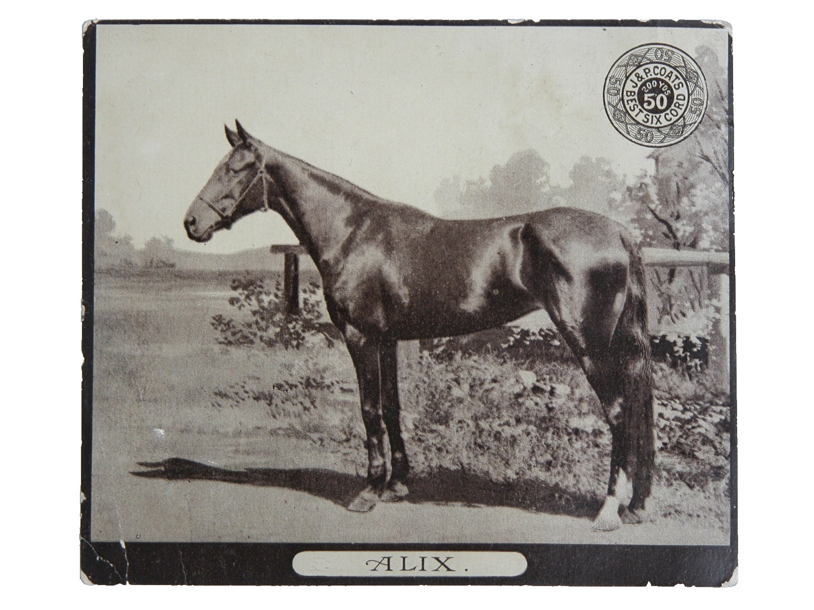c. 1890s American Trotter Horse Card J & P Coats Horse Racing 2ND SERIES ALIX