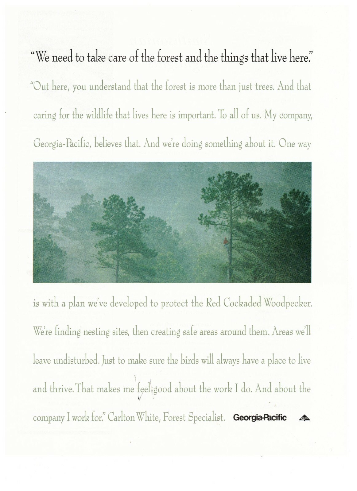 Georgia Pacific Rainforest Take Care of the Forest Vintage 1995 Print Ad