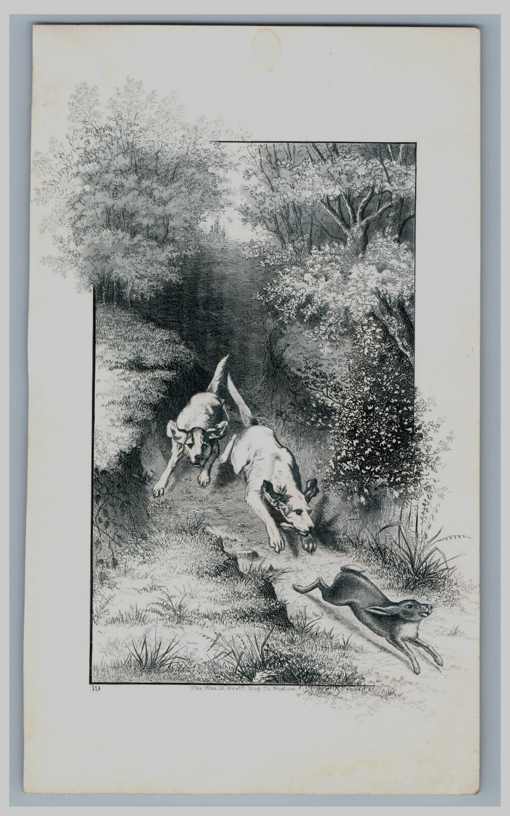 1870s-80s Engraved Printer’s Sample Card Hunting Dogs Rabbit 3T