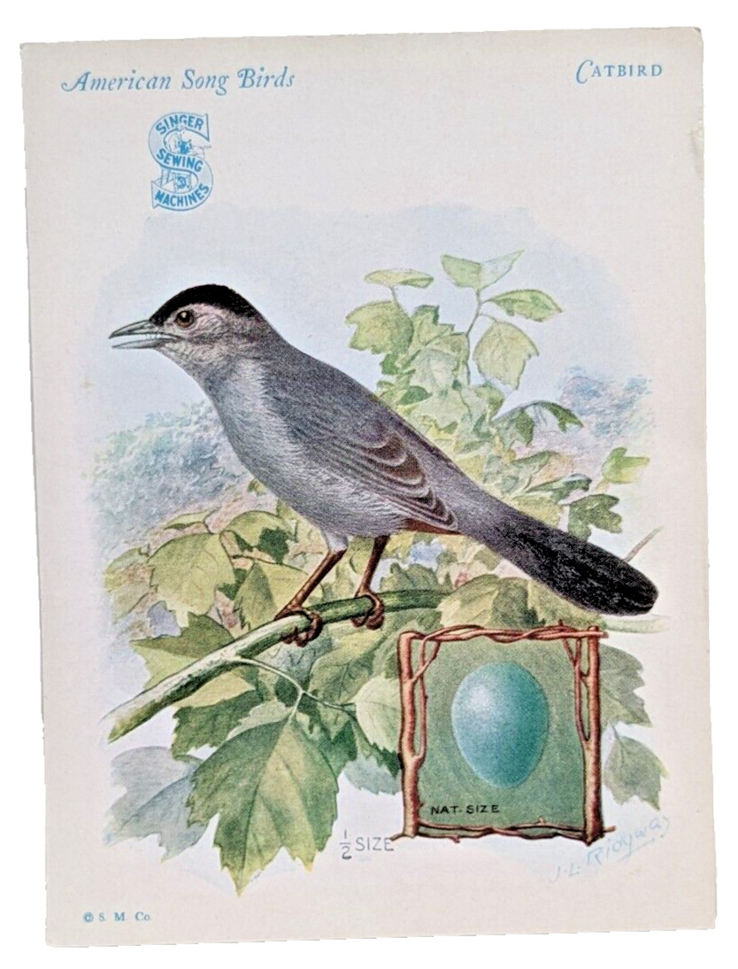 Singer Sewing Machines American Song Birds Trade Cards Robin Catbird Meadowlark
