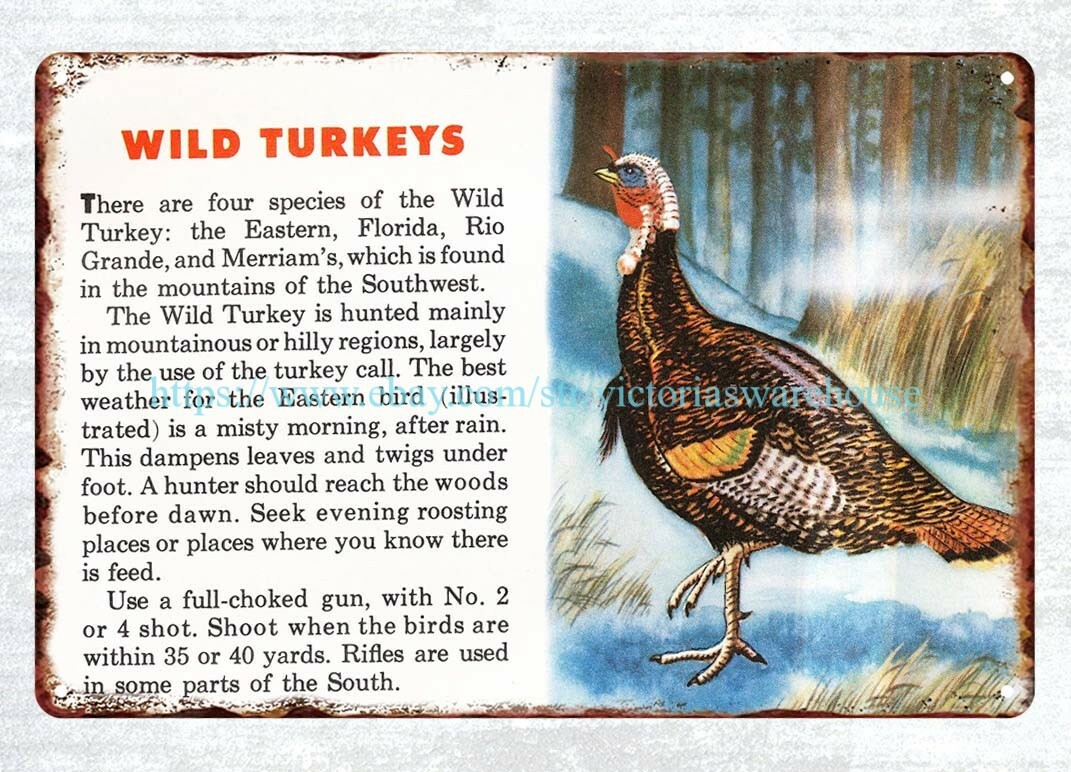 1954 FEDERAL CARTRIDGE CORPORATION wild turkey hunting metal tin sign tin