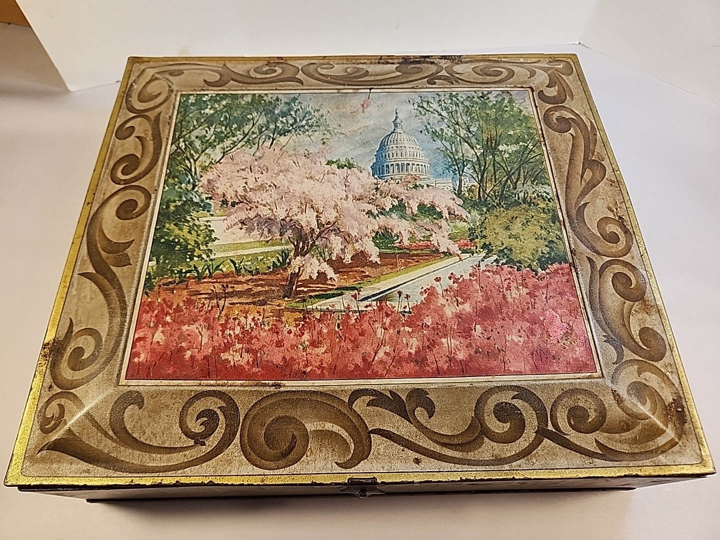 Sunshine Biscuits Empty Hinged Tin Box USA Washington DC Cherry Blossoms VTG