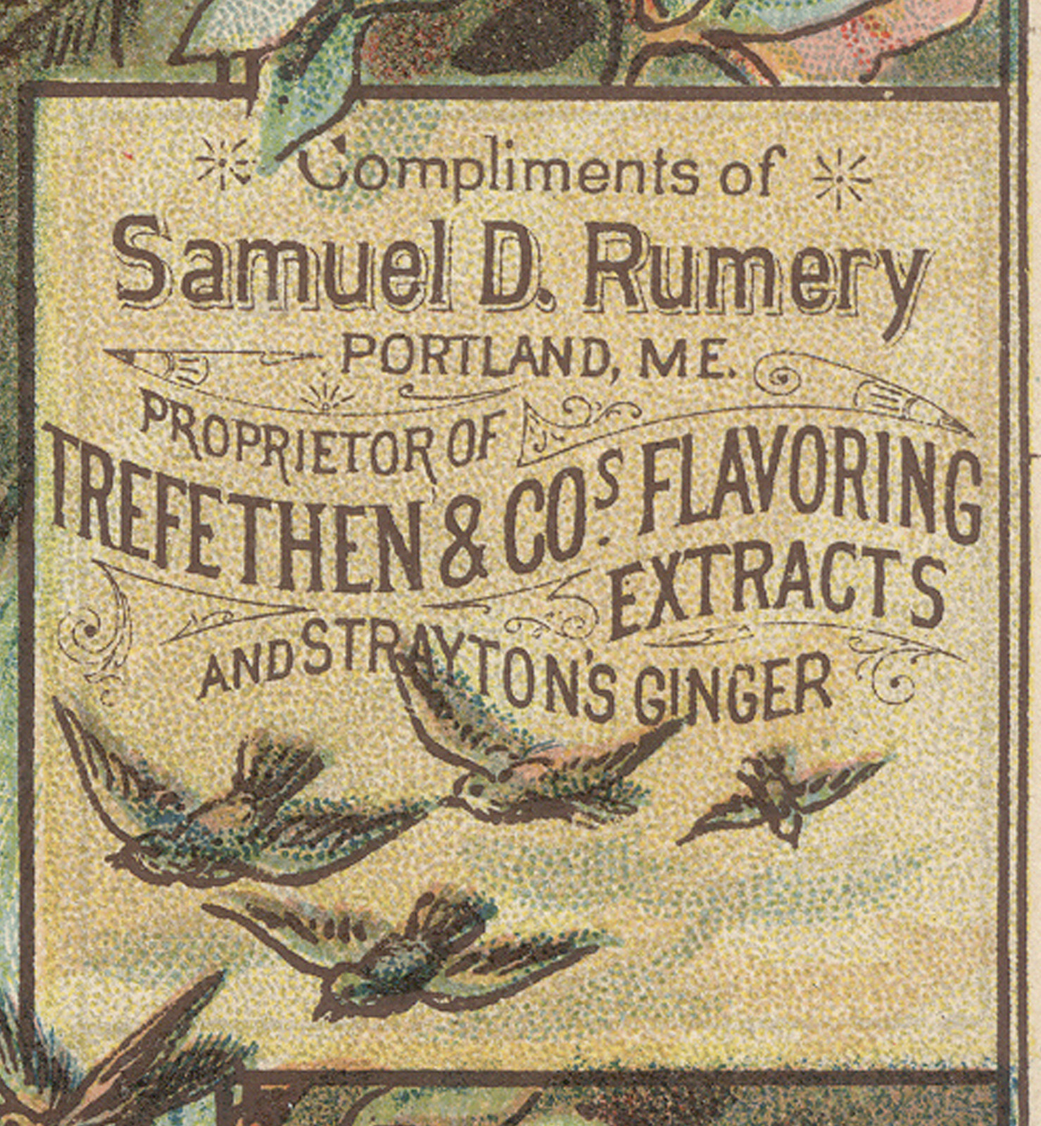 PORTLAND ME TRADE CARD,TREFETHEN & CO FLAVORING EXTRACTS, A BEAUTIFUL LADY V615