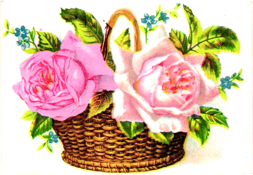 Antique Victorian Calling Card – Basket of Pink Roses Floral Design, Early 1900s