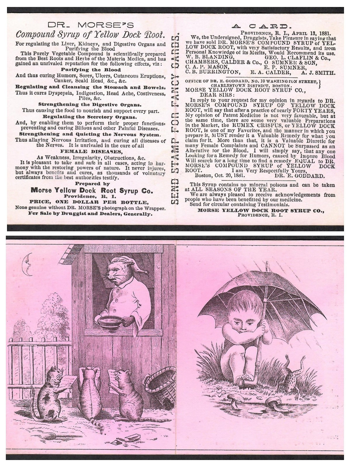 1881~DR. MORSE’S COMPOUND SYRUP YELLOW DOCK ROOT FOLDING TRADE CARD~CATS, FROG
