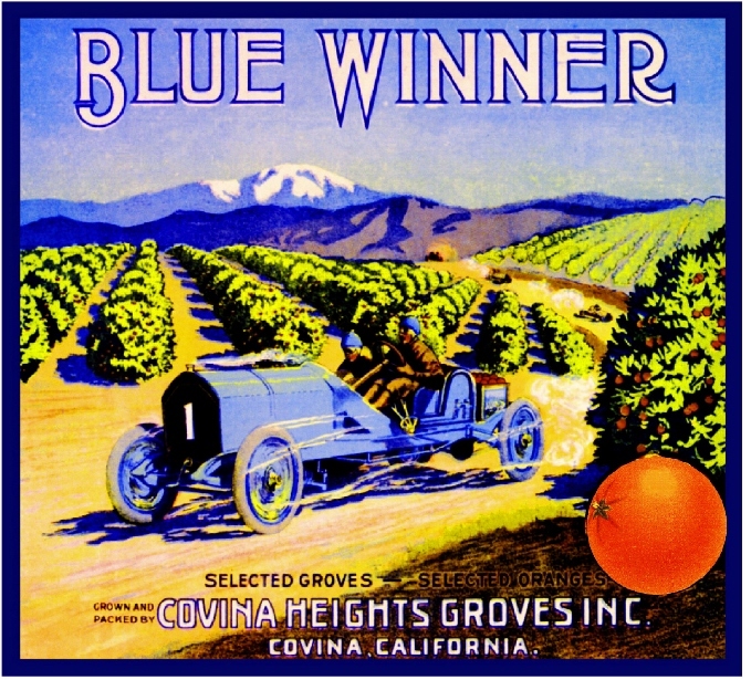 Covina California Blue Winner Race Car Orange Citrus Fruit Crate Label Art Print