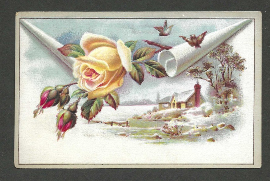 Old Embossed Trade Card Lion Coffee Woolson Spice Toledo OH Yellow Rose Cottage