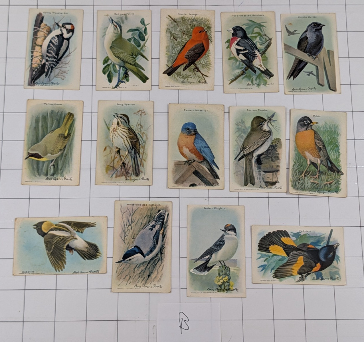 14 Vintage Arm & Hammer Useful Birds of America Cards 9th Series (Batch B)