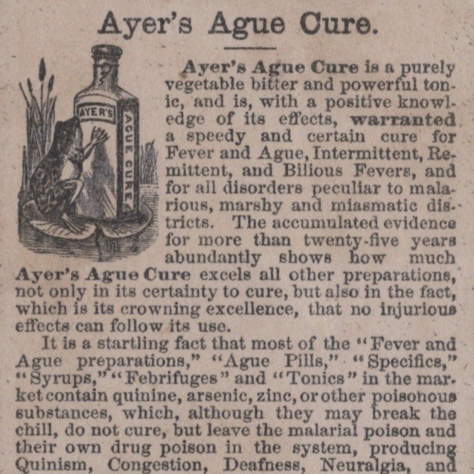 Ayer’s Ague Cure 1880s Trade Card Medicine Anthropomorphic Frogs Alligator VTG.