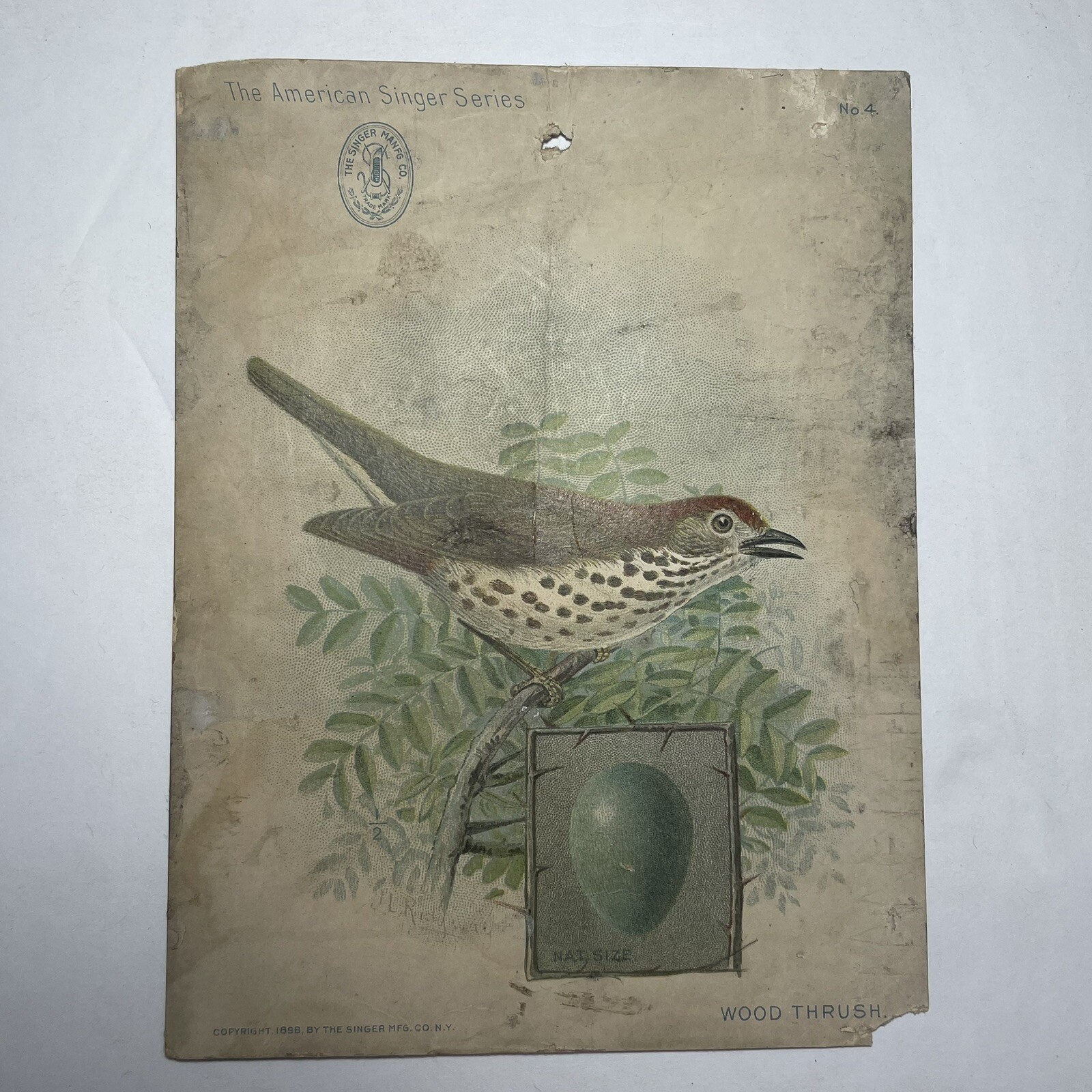 The American Singer Series Sewing Trade Card No. 4 Wood Thrush, 1898 collectible