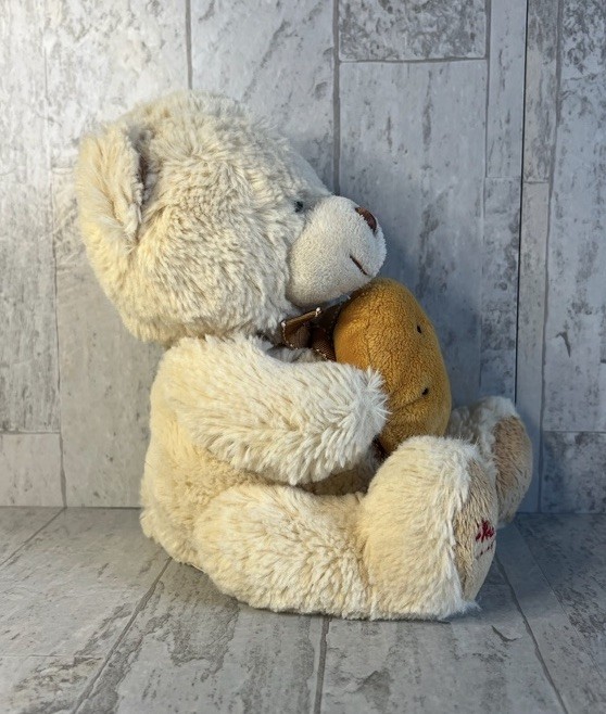 Mrs. Fields Teddy Bear Holding Giant Cookie Plush Stuffed Animal