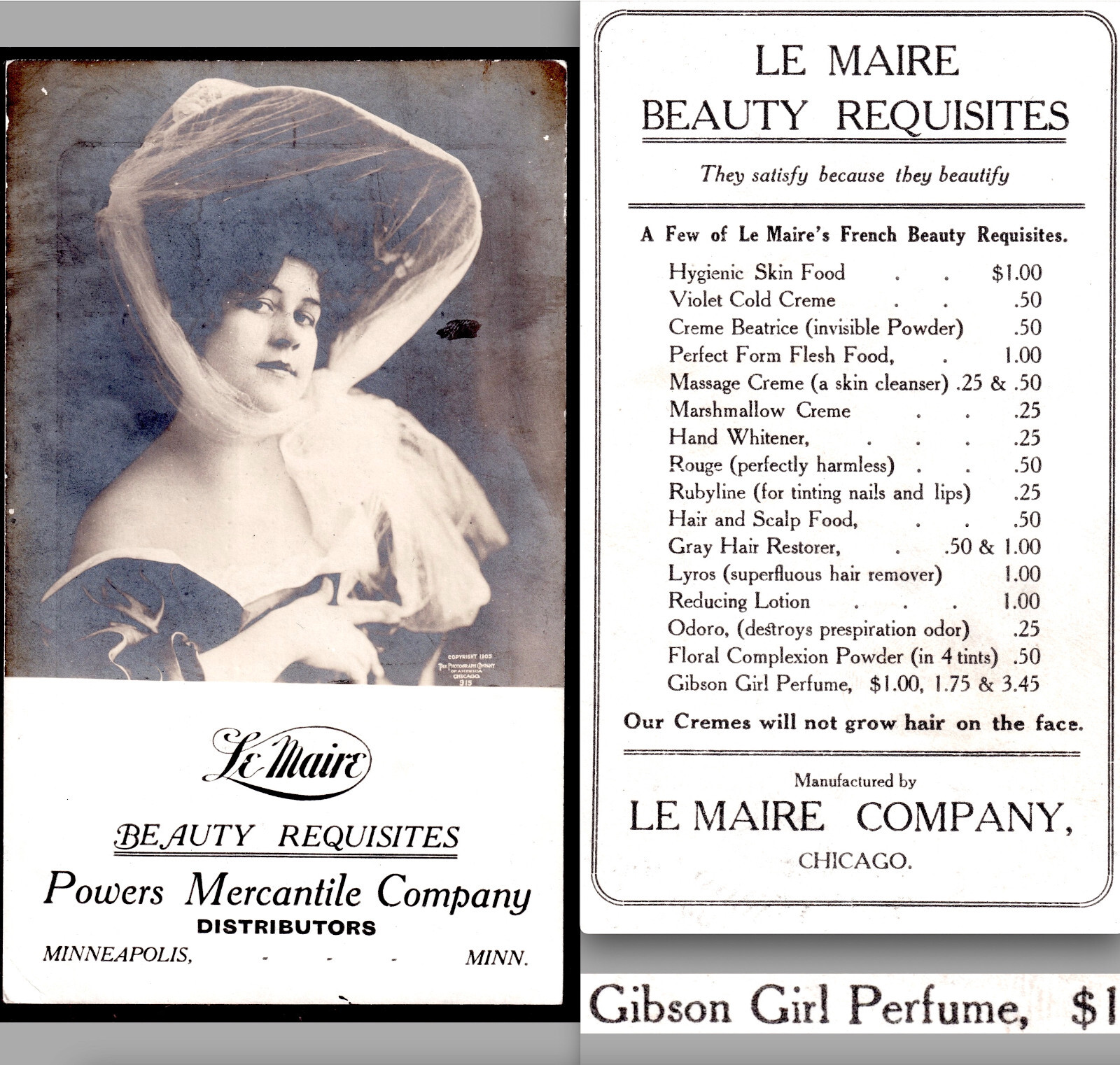 “Gibson Girl Perfume” 1905 Scalp Food Le Maire Beauty Minneapolis Victorian Card