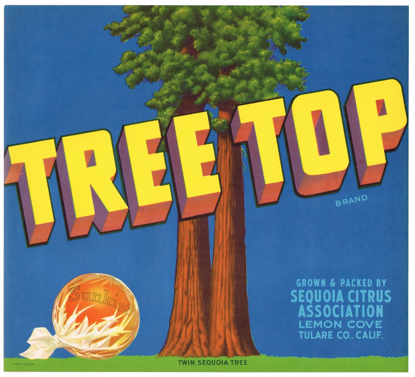 ORIGINAL VINTAGE TREE TOP ORANGE CRATE LABEL SEQUOIA REDWOOD LEMON COVE 1930S