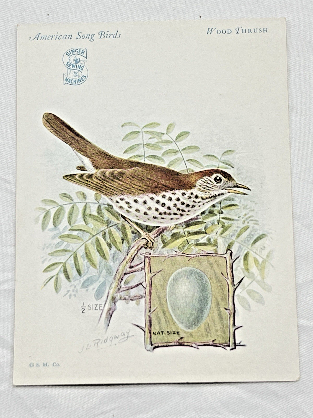 1927 Singer Sewing Machine American Song Birds Trade Cards 14/16 Complete Set