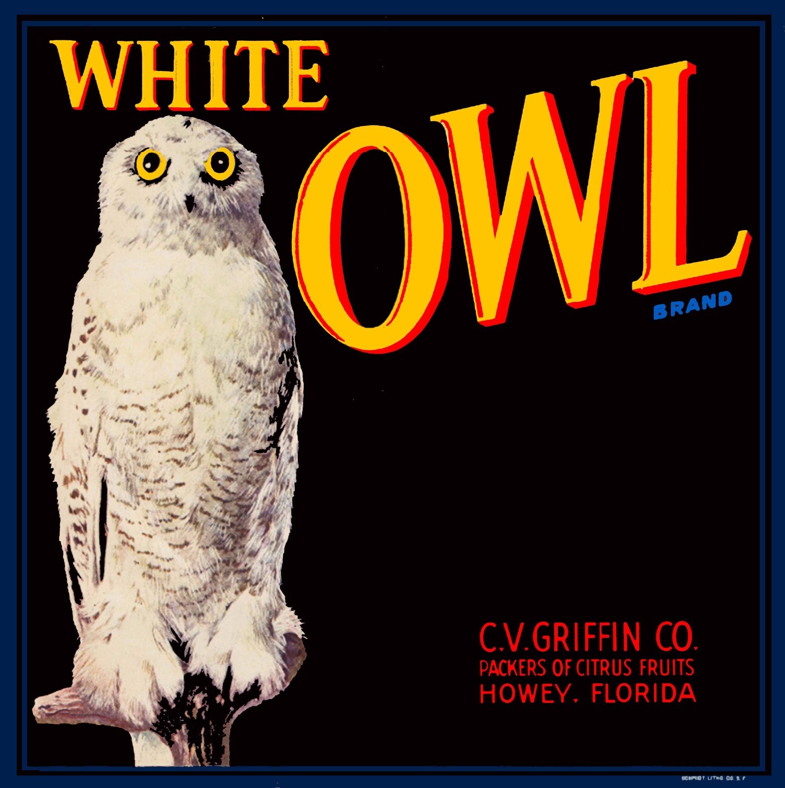 Howey Florida White Owl Brand Bird Orange Citrus Fruit Crate Label Art Print