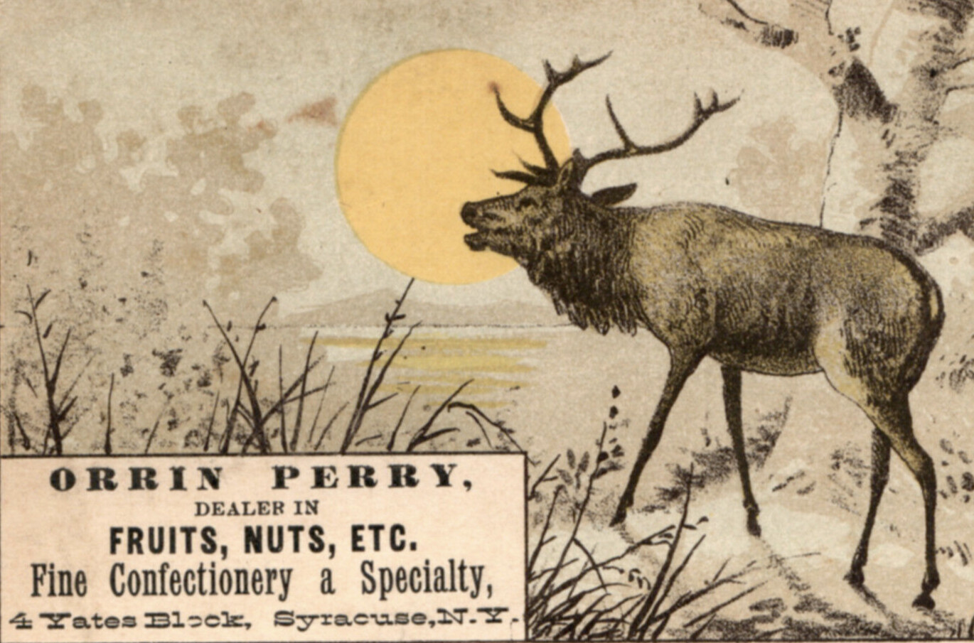 Syracuse NY Elk Full Moon Lake Victorian Trade Card