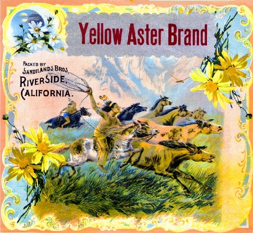 Riverside Yellow Aster Indians Orange Citrus Fruit Crate Label Art Print