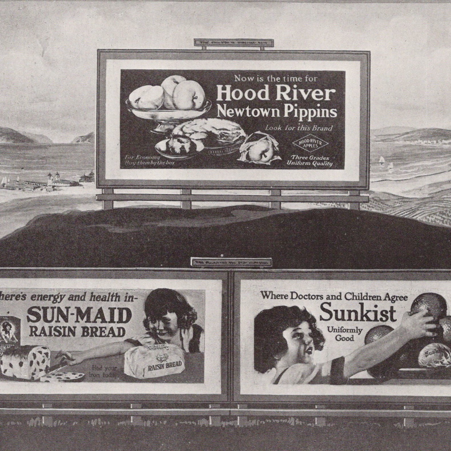 Edwards & Deutsch Lithographing Co Sample Window Card Advertising 1922 Print Ad