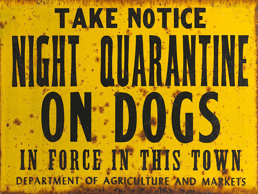 NIGHT QUARANTINE ON DOGS “TAKE NOTICE” SIGN