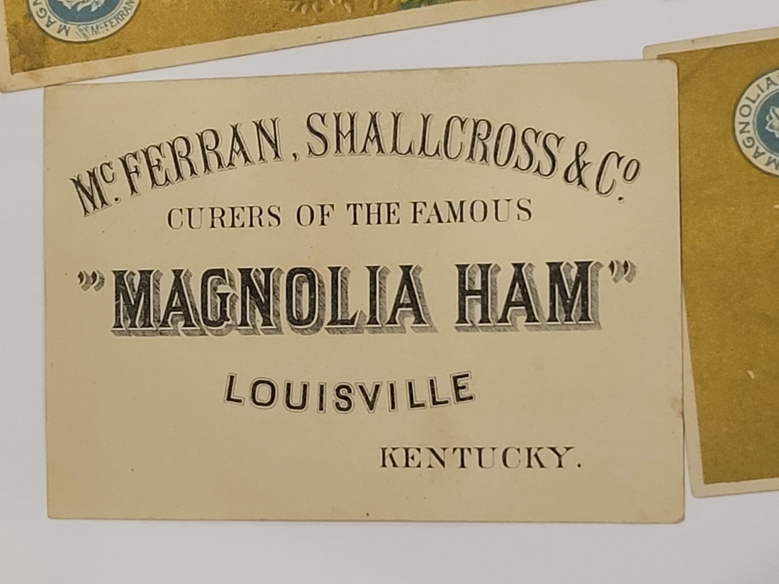 Victorian Trade Card Magnolia Ham Louisville Kentucky KY McFerran Baby On Turtle