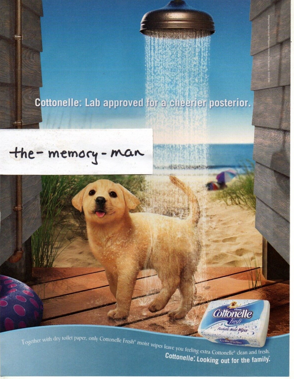 Cottonelle Moist Wipes Labrador Retriever 2003 Picture Print Ad Clipping Page
