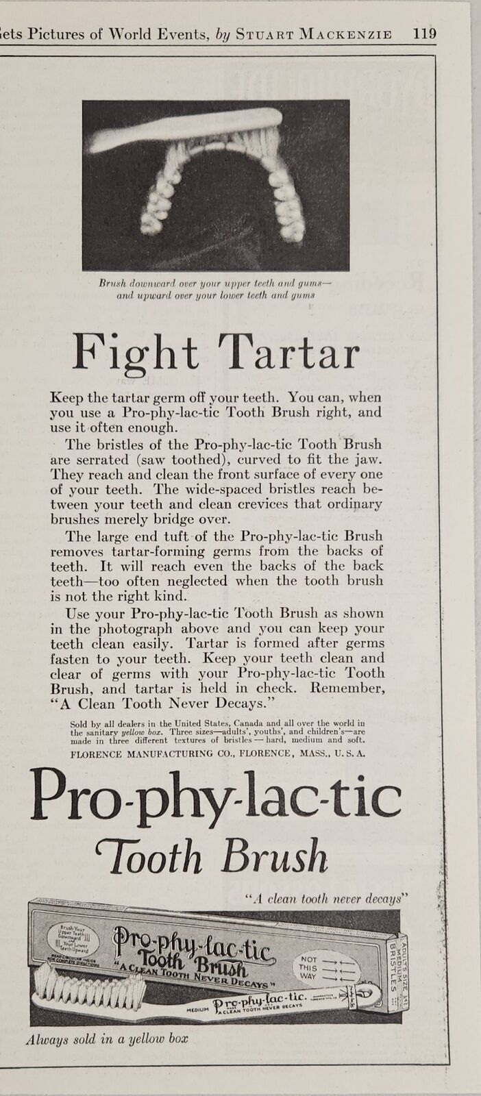 1924 Print Ad Pro-Phy-Lac-Tic Tooth Brushes Fight Tartar Florence,Massachusetts