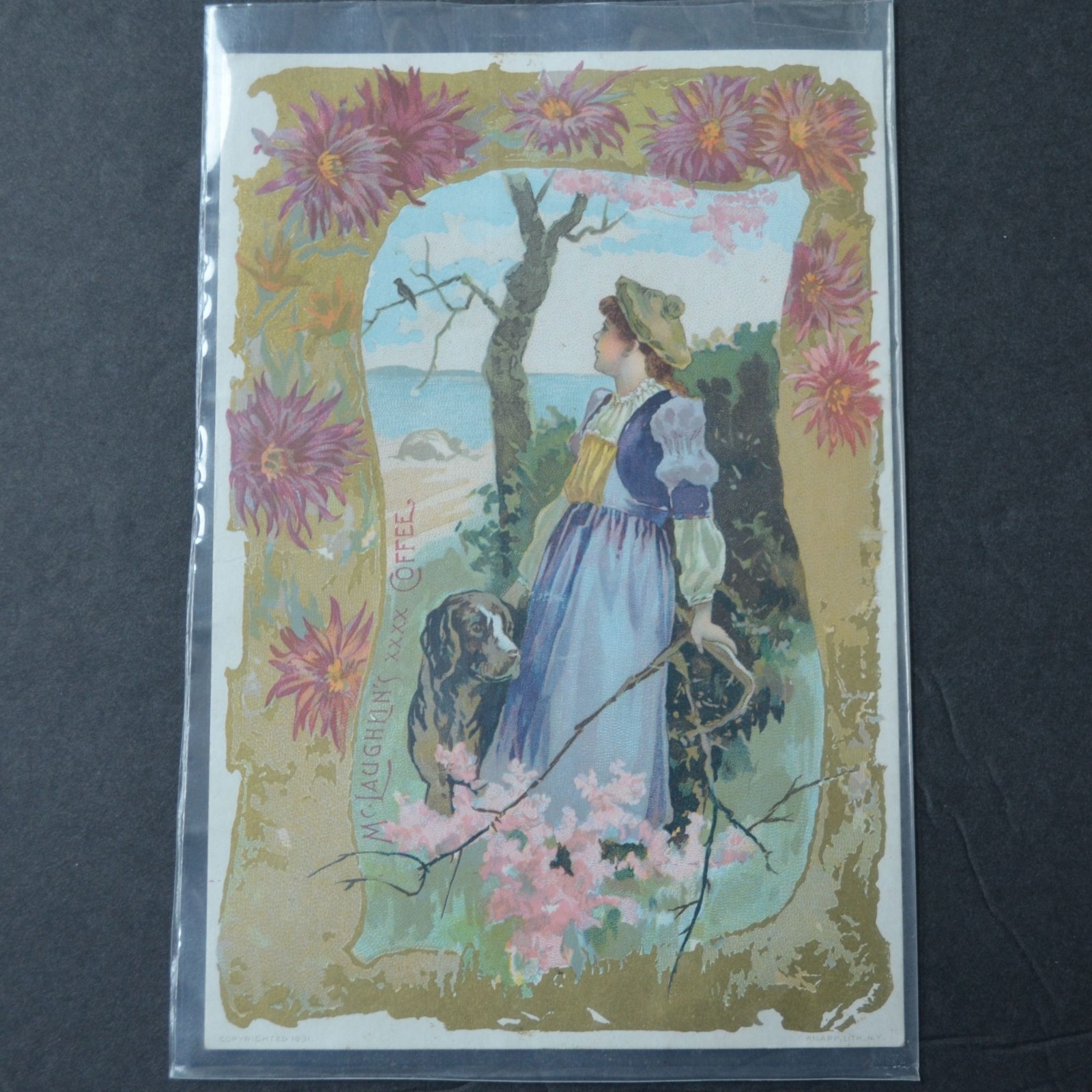 McLaughlin’s XXXX Coffee Victorian Trading Card LARGE 1891 Girl and Dog