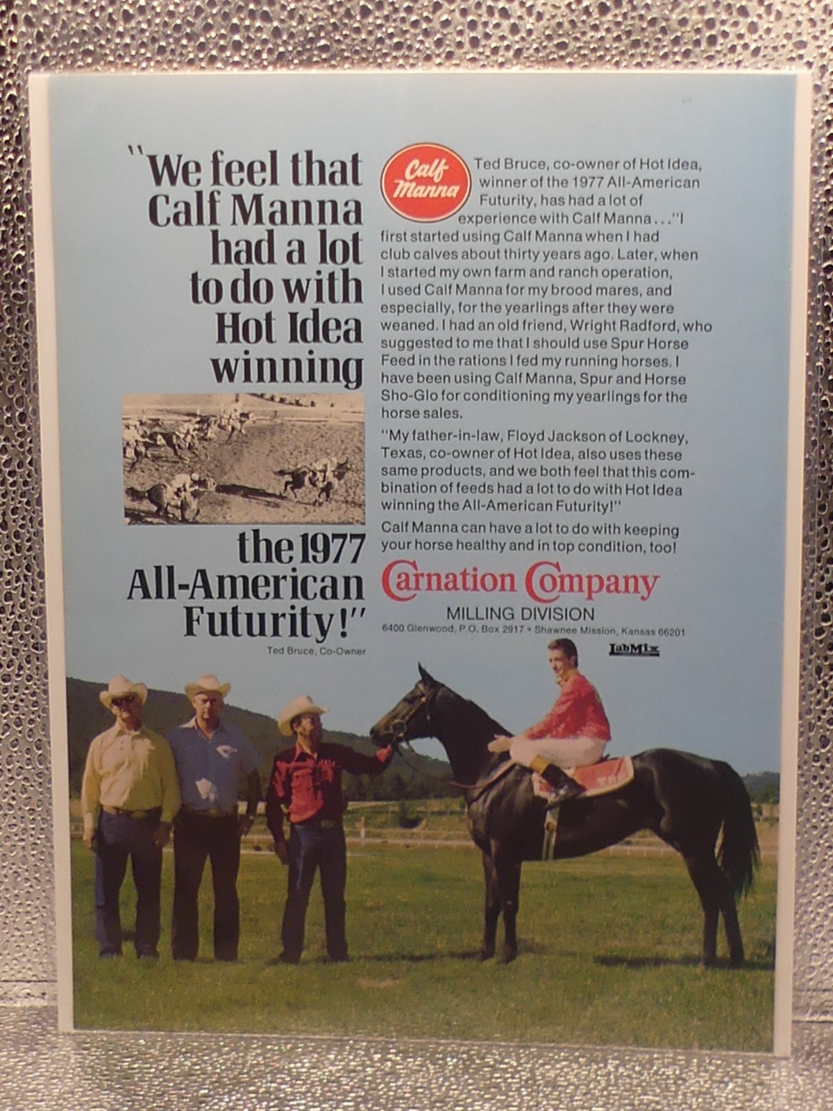Vintage Carnation Company Calf Manna Horses 1978 Print Advertising Full Page Ad