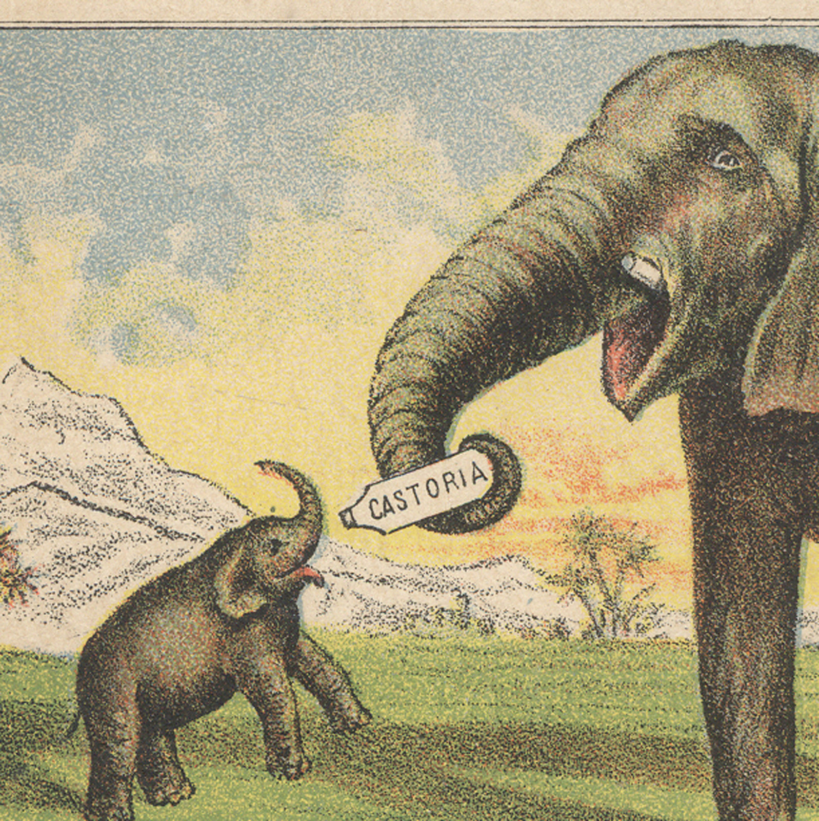 1880’s JUMBO FEEDS BABY CASTORIA TRADE CARD & PT BARNUM SAYS IT’S THE BEST A315